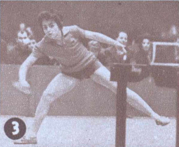 1963 World Table Tennis Championships