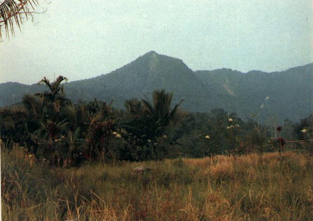 Bukit Beriti Besar