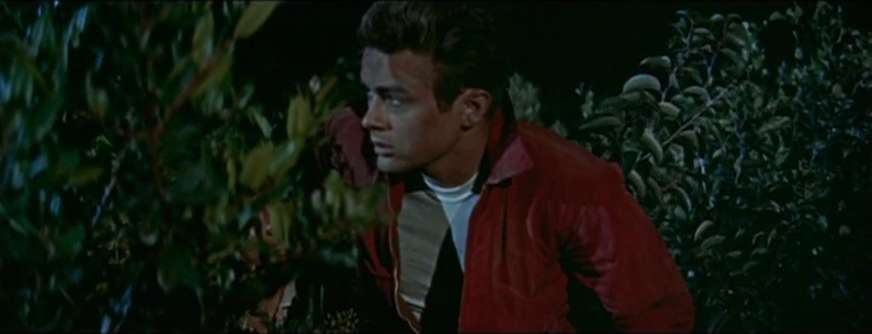 Rebel Without a Cause