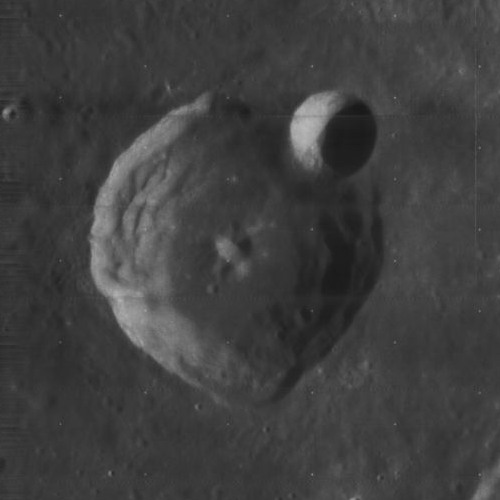 Cepheus