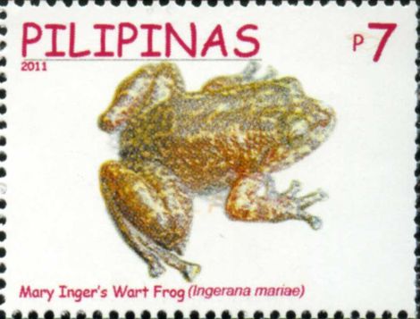 Alcalus mariae