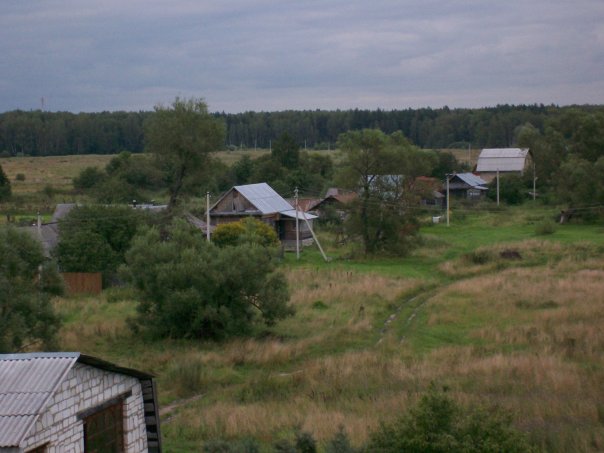 Ozyorsky District