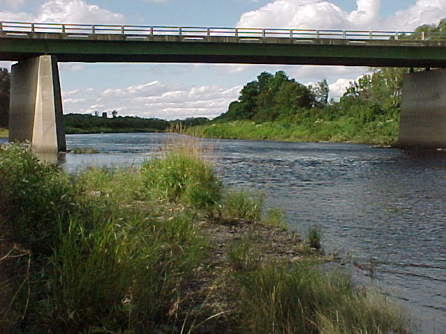 Masardis