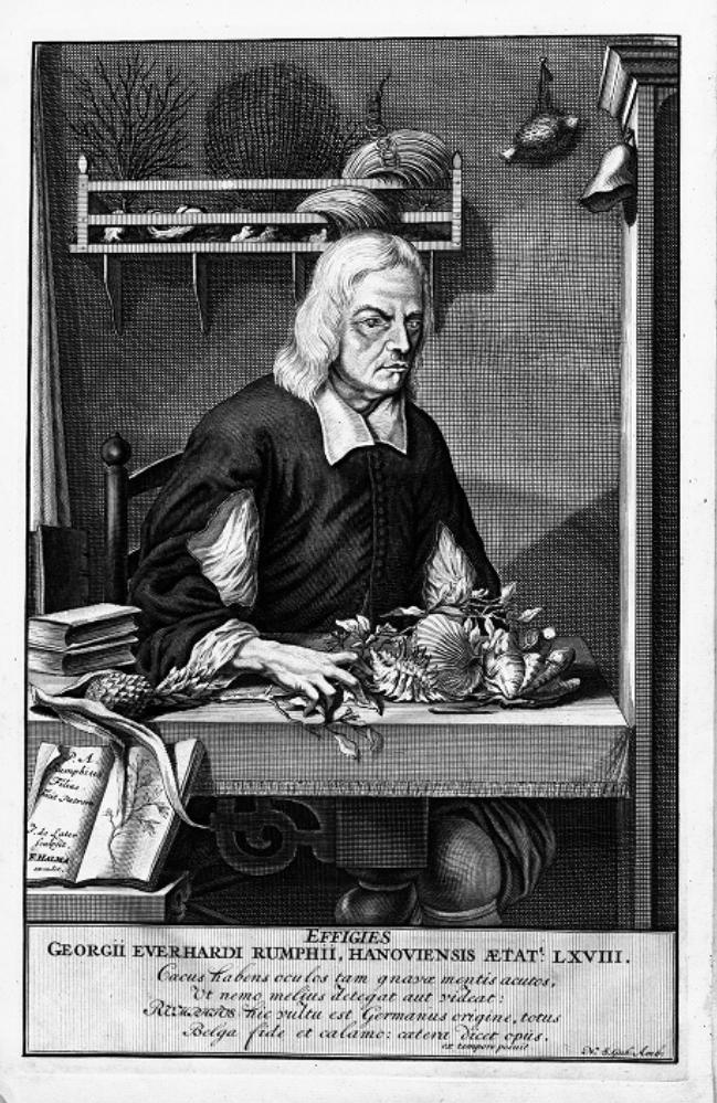 Georg Eberhard Rumphius