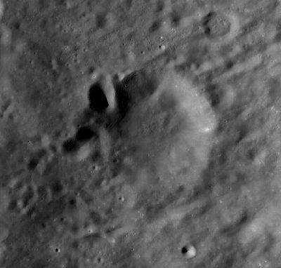 Xenophon