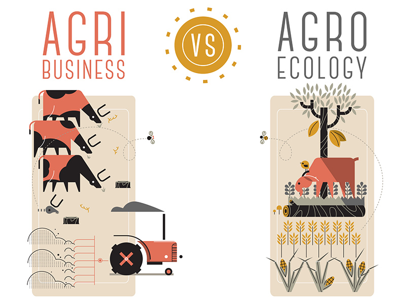agroecology
