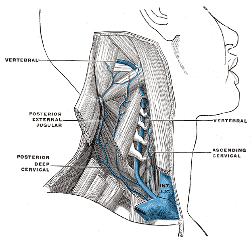 chronic cerebrospinal venous insufficiency
