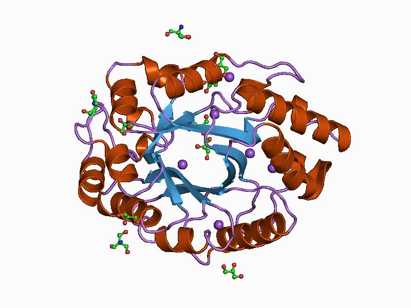 xylanase