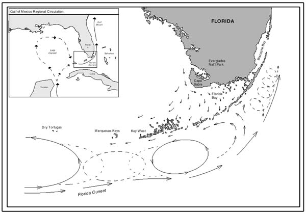 Florida Current