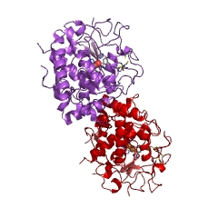 catechol oxidase