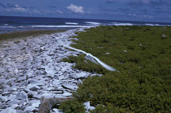 McKean Island