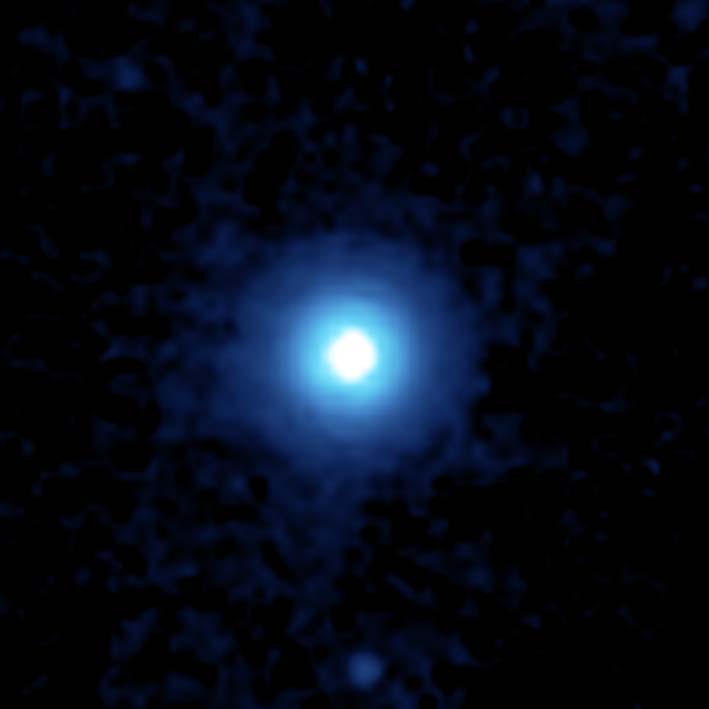 Vega