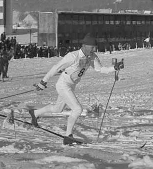 Category:Swedish cross-country skiers