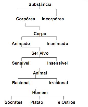 classification scheme