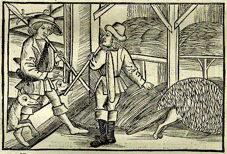 The Fox and the Woodman