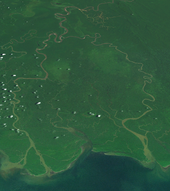Purari River