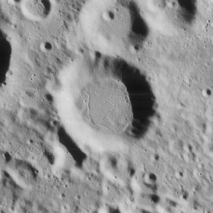 Tannerus