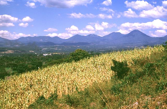 Cordillera de Apaneca-Lamatepec