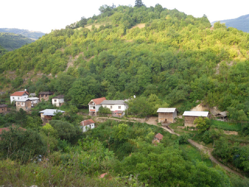 Bela