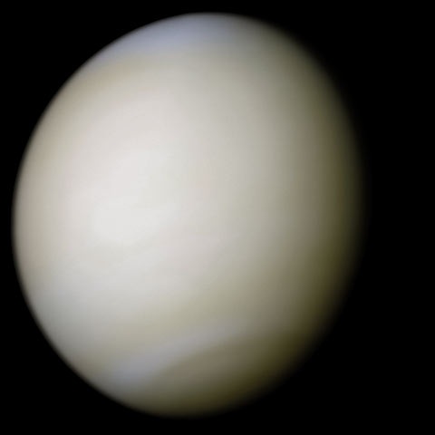 Wikijunior:Solar System/Venus