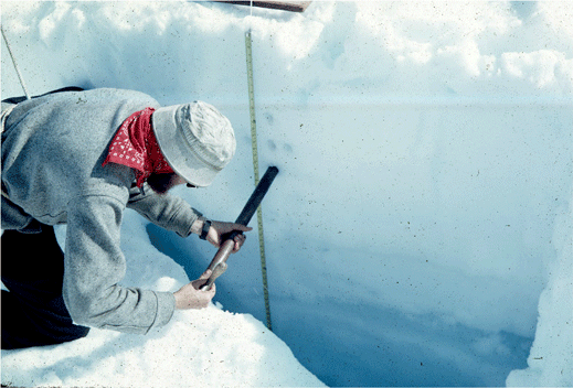 snow science