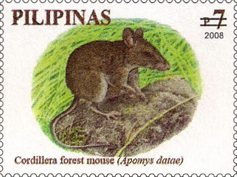 Luzon Montane Forest Mouse
