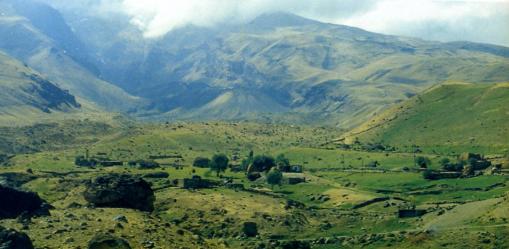 Yenidoğan