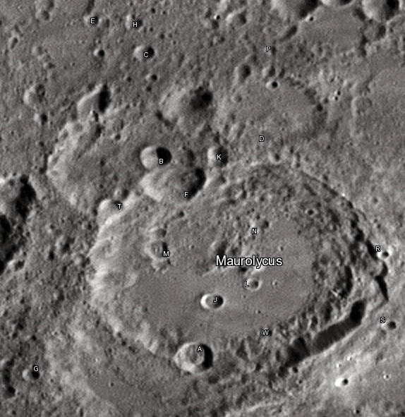 Maurolycus