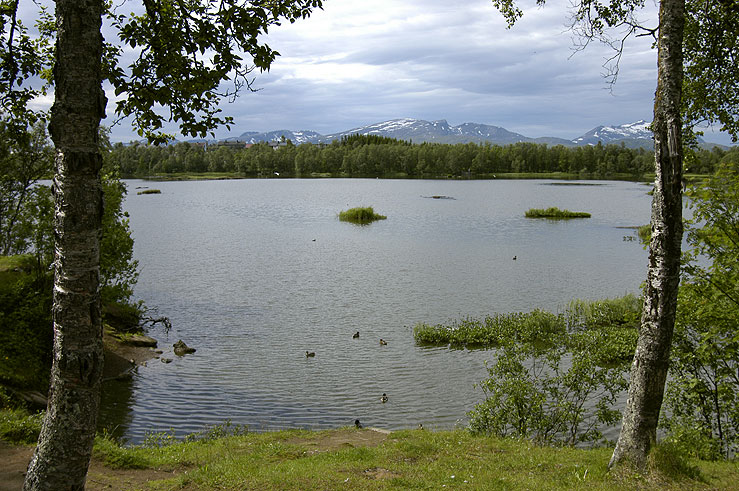 Prestvannet