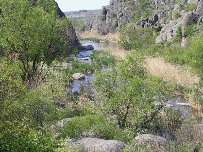 Voznesensk Raion