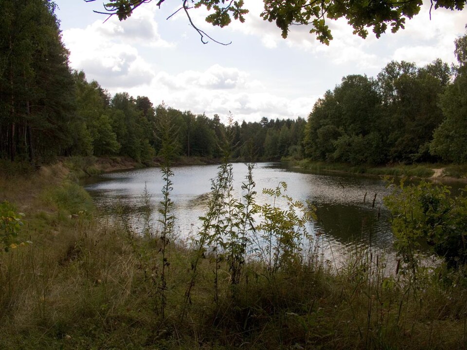 Kerzhenets