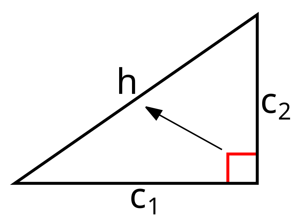 cathetus
