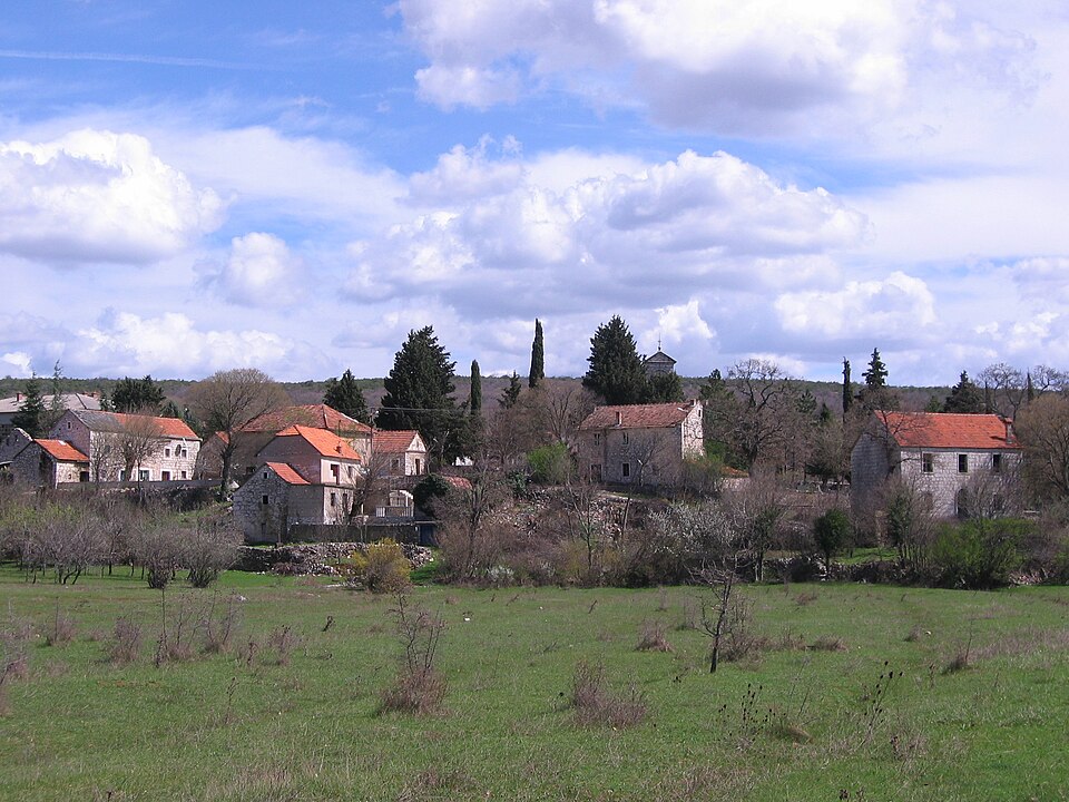 Mokro Polje