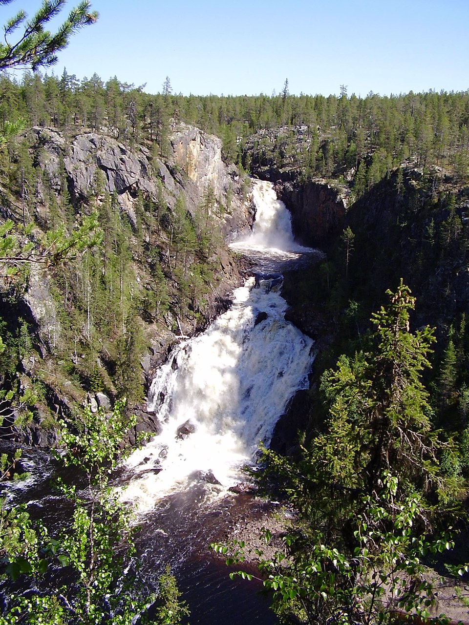 Muddus National Park