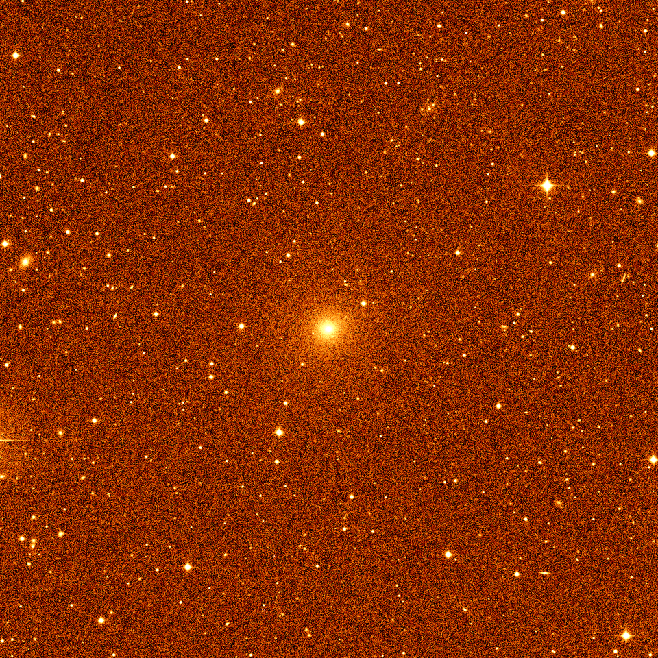 63P/Wild