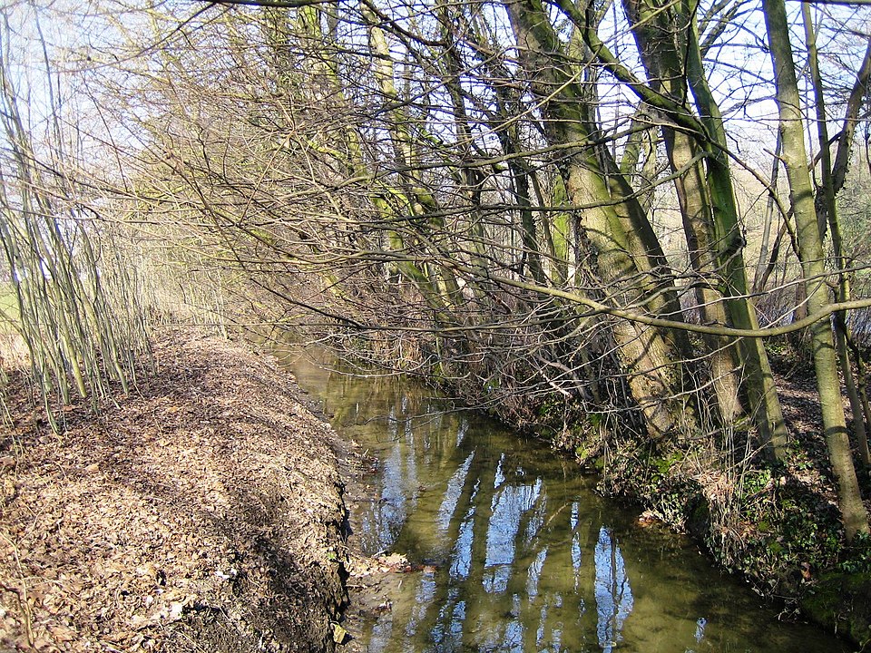 Woluwe