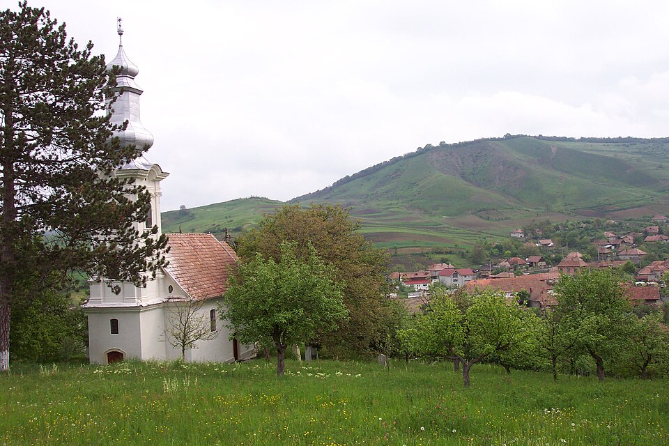 Vișea
