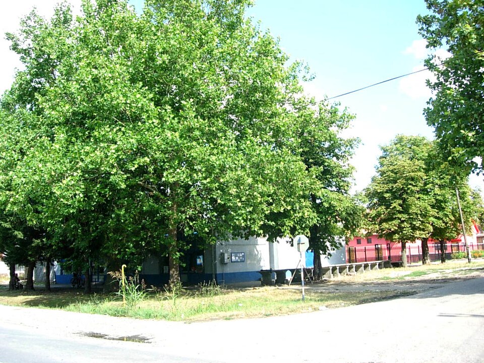 Čestereg