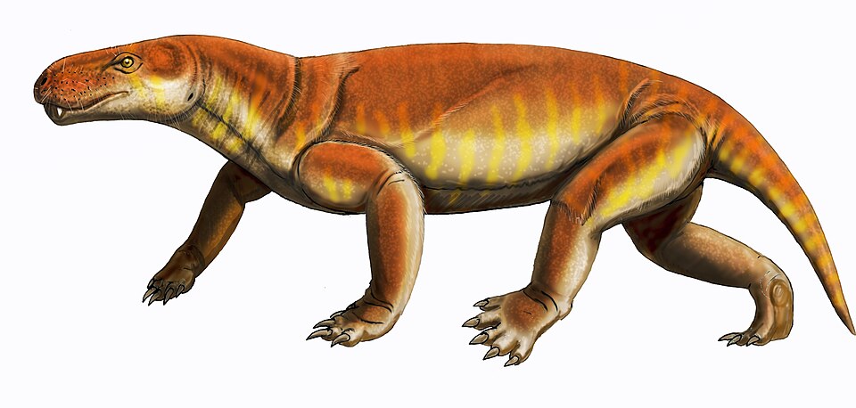 Gorgonops