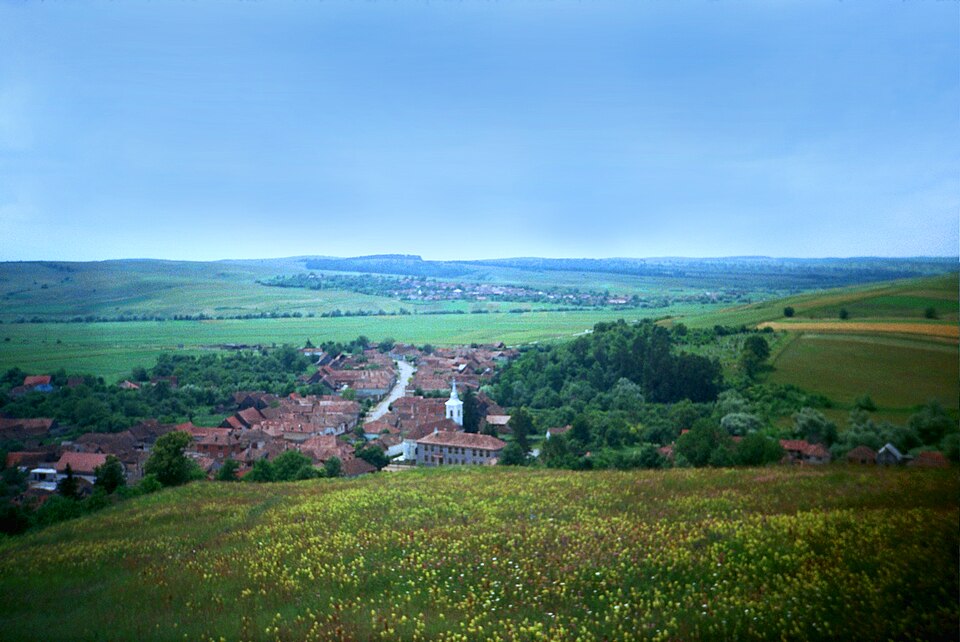 Crihalma
