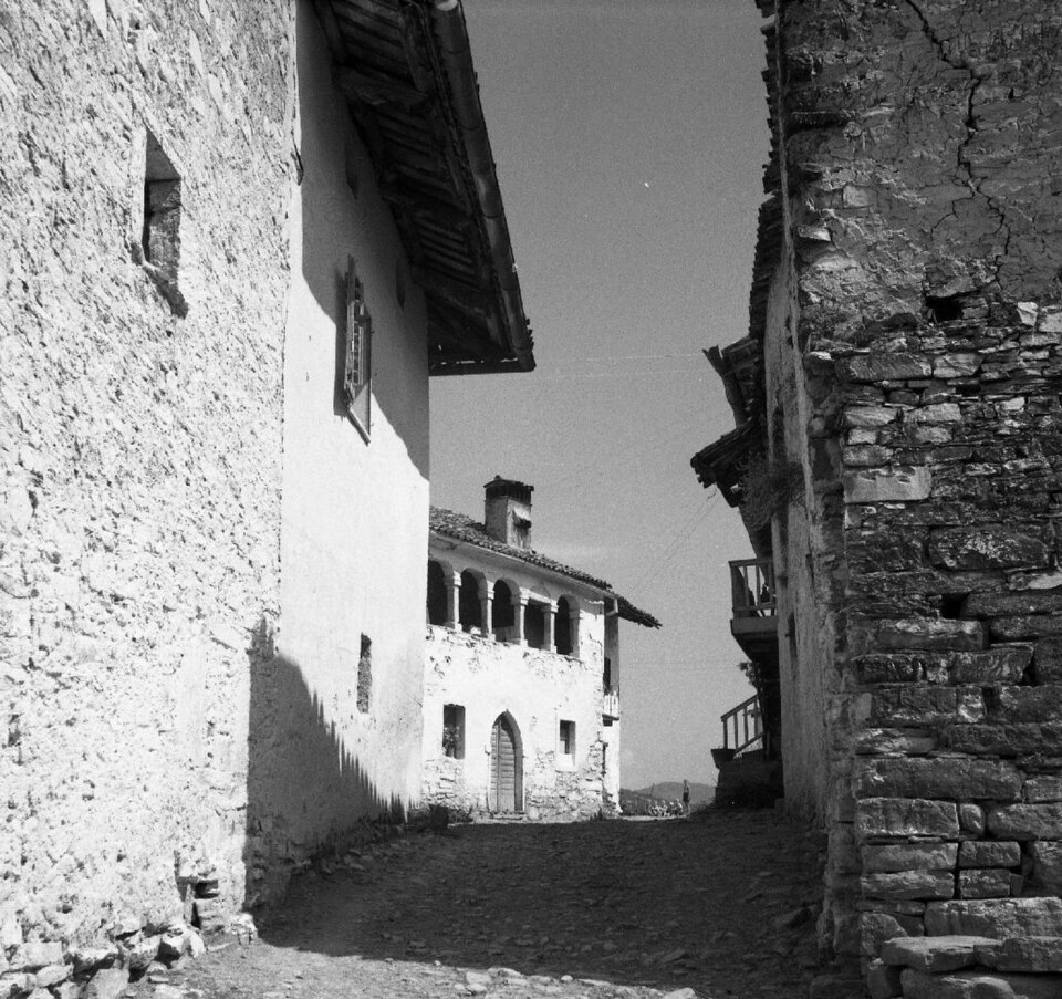Vedrijan