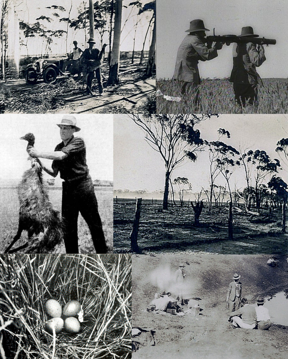 Emu War