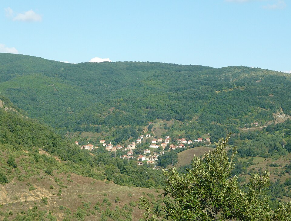 Brezovo