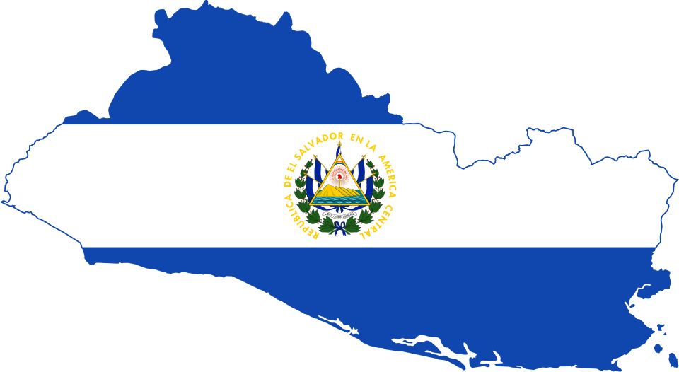 United Nations Security Council Resolution 784