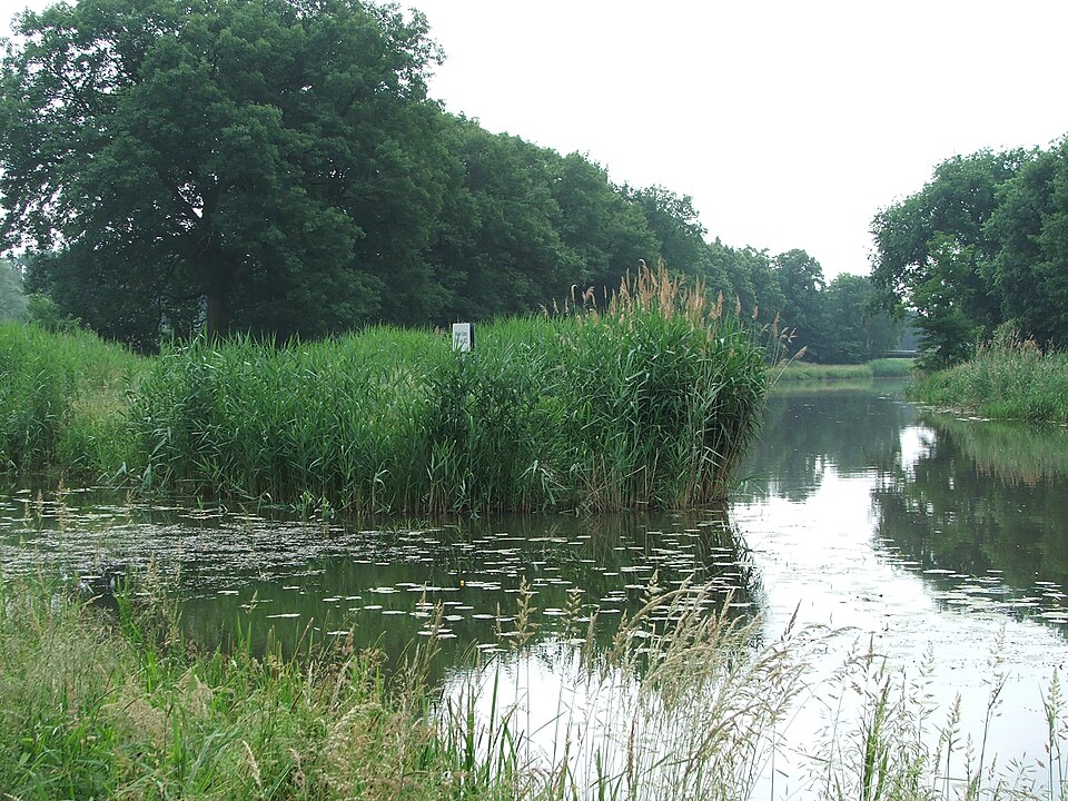 Kleine Elster