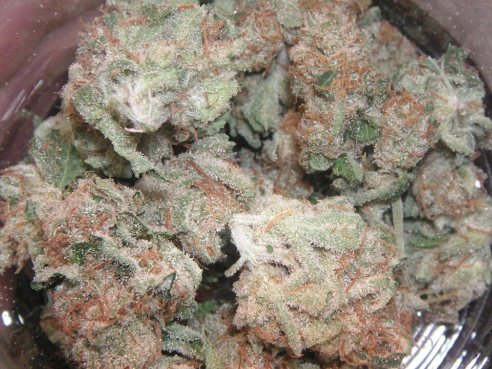 kush