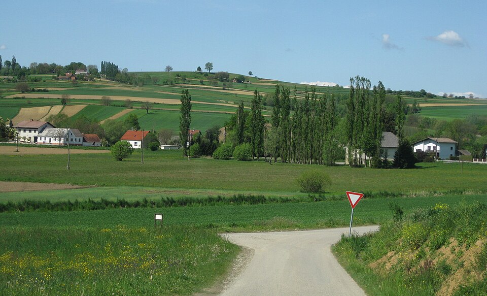 Municipality of Rogašovci