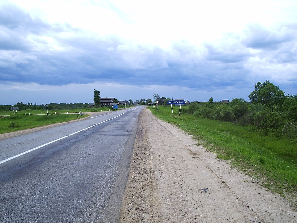 Bolsheselsky District