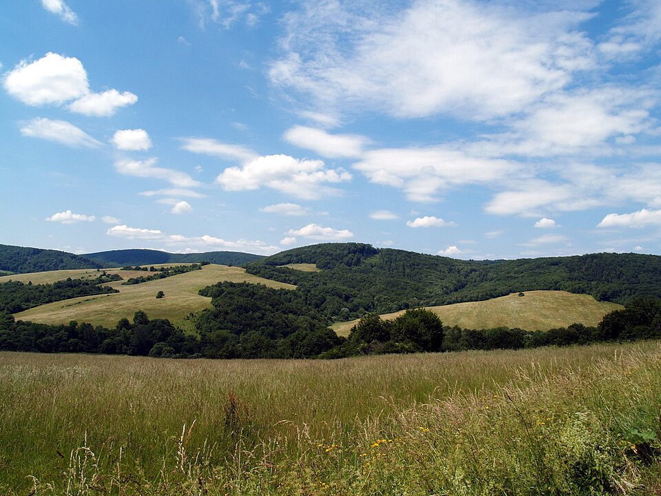 Low Beskids