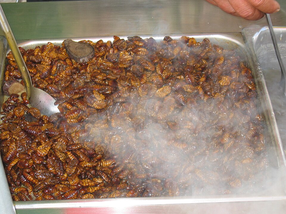 beondegi